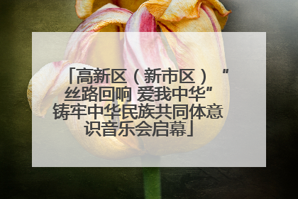 高新区（新市区）“丝路回响 爱我中华”铸牢中华民族共同体意识音乐会启幕