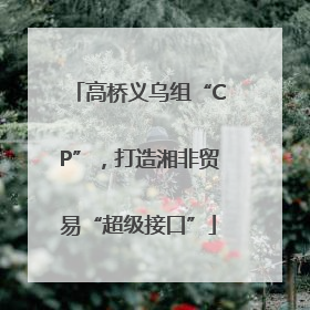 高桥义乌组“CP”，打造湘非贸易“超级接口”