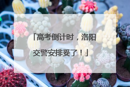 高考倒计时，洛阳交警安排妥了！