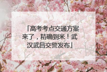 高考考点交通方案来了，精确到米！武汉武昌交警发布