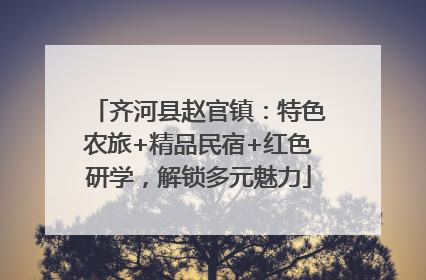 齐河县赵官镇：特色农旅+精品民宿+红色研学，解锁多元魅力