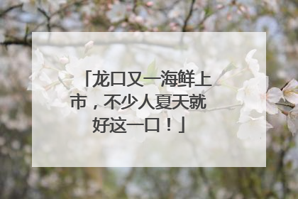 龙口又一海鲜上市，不少人夏天就好这一口！