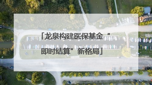 龙泉构建医保基金“即时结算”新格局