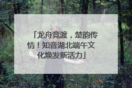 龙舟竞渡，楚韵传情！知音湖北端午文化焕发新活力