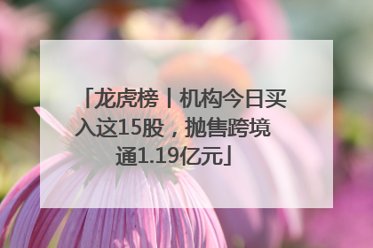 龙虎榜丨机构今日买入这15股，抛售跨境通1.19亿元