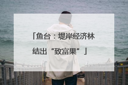 鱼台：堤岸经济林结出“致富果”