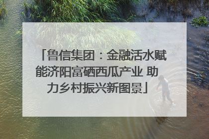 鲁信集团：金融活水赋能济阳富硒西瓜产业 助力乡村振兴新图景