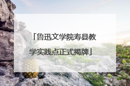 鲁迅文学院寿县教学实践点正式揭牌