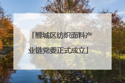 鲤城区纺织面料产业链党委正式成立