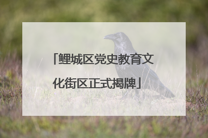 鲤城区党史教育文化街区正式揭牌