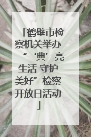 鹤壁市检察机关举办“‘典’亮生活 守护美好”检察开放日活动