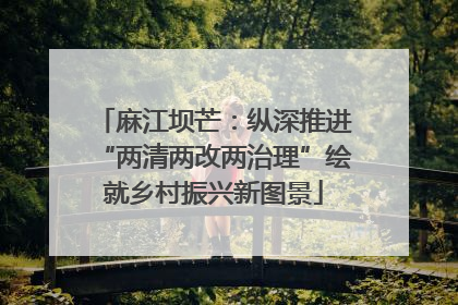 麻江坝芒：纵深推进“两清两改两治理”绘就乡村振兴新图景
