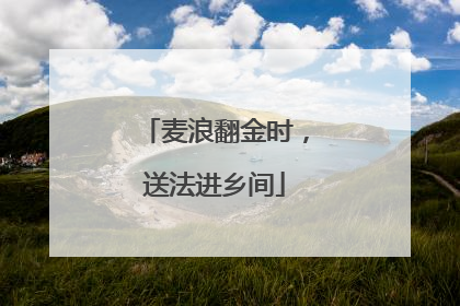 麦浪翻金时，送法进乡间