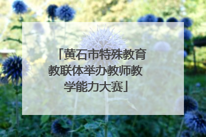 黄石市特殊教育教联体举办教师教学能力大赛