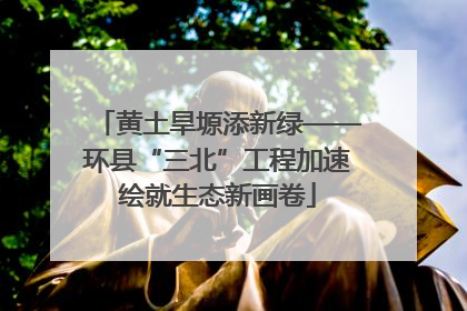 黄土旱塬添新绿——环县“三北”工程加速绘就生态新画卷