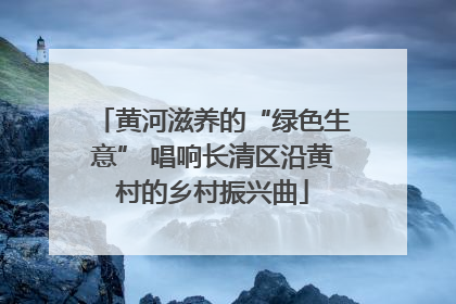 黄河滋养的“绿色生意” 唱响长清区沿黄村的乡村振兴曲