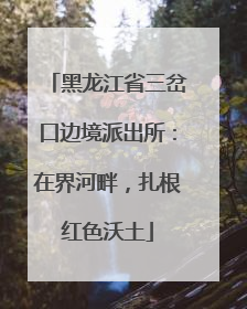 黑龙江省三岔口边境派出所：在界河畔，扎根红色沃土