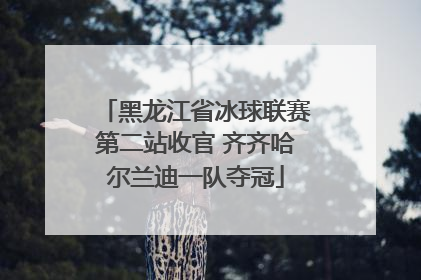 黑龙江省冰球联赛第二站收官 齐齐哈尔兰迪一队夺冠