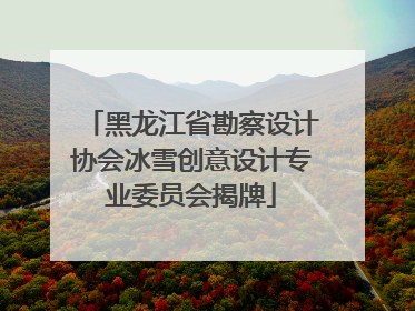 黑龙江省勘察设计协会冰雪创意设计专业委员会揭牌