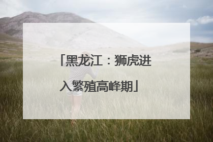 黑龙江：狮虎进入繁殖高峰期