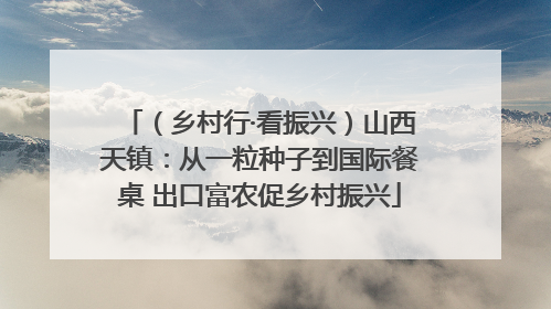 （乡村行·看振兴）山西天镇：从一粒种子到国际餐桌 出口富农促乡村振兴