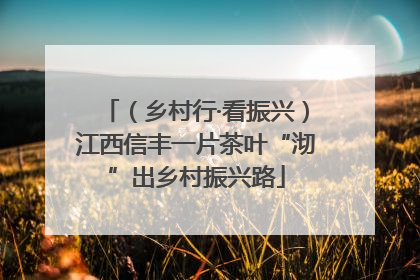 （乡村行·看振兴）江西信丰一片茶叶“沏”出乡村振兴路