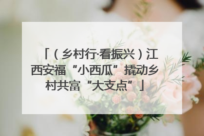 （乡村行·看振兴）江西安福“小西瓜”撬动乡村共富“大支点”