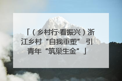 （乡村行·看振兴）浙江乡村“自我重塑” 引青年“筑巢生金”