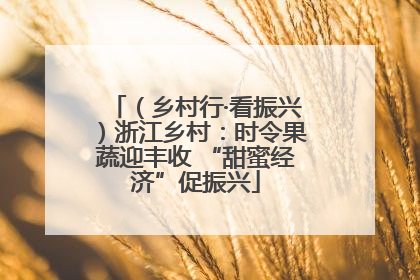 （乡村行·看振兴）浙江乡村：时令果蔬迎丰收 “甜蜜经济”促振兴