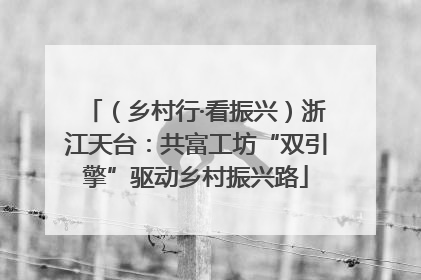 （乡村行·看振兴）浙江天台：共富工坊“双引擎”驱动乡村振兴路