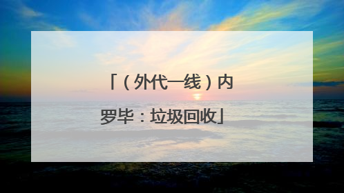 （外代一线）内罗毕：垃圾回收