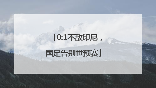 0:1不敌印尼，国足告别世预赛