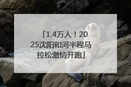 1.4万人！2025沈阳和河半程马拉松激情开跑