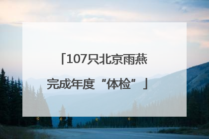 107只北京雨燕完成年度“体检”