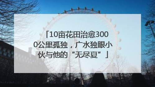 10亩花田治愈3000公里孤独，广水独眼小伙与他的“无尽夏”