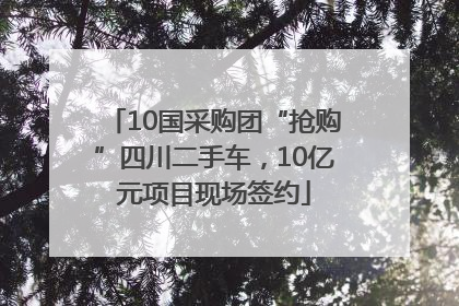 10国采购团“抢购”四川二手车，10亿元项目现场签约