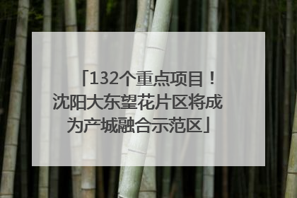 132个重点项目！沈阳大东望花片区将成为产城融合示范区