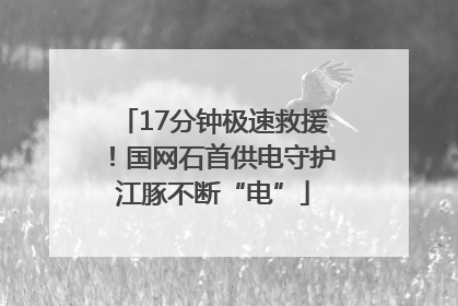 17分钟极速救援！国网石首供电守护江豚不断“电”
