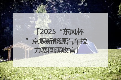 2025“东风杯”京堰新能源汽车拉力赛圆满收官