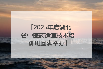 2025年度湖北省中医药适宜技术培训班圆满举办