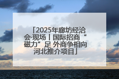2025年廊坊经洽会·现场丨国际招商“磁力”足 外商争相向河北推介项目