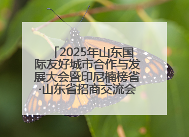 2025年山东国际友好城市合作与发展大会暨印尼楠榜省·山东省招商交流会在济南槐荫举行