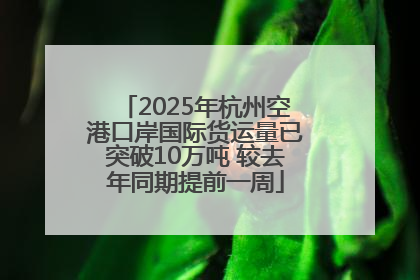 2025年杭州空港口岸国际货运量已突破10万吨 较去年同期提前一周