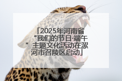 2025年河南省“我们的节日·端午”主题文化活动在漯河市召陵区启动