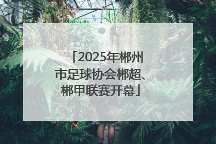 2025年郴州市足球协会郴超、郴甲联赛开幕