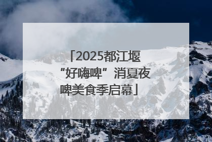 2025都江堰“好嗨啤”消夏夜啤美食季启幕