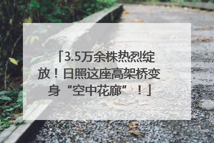 3.5万余株热烈绽放！日照这座高架桥变身“空中花廊”！