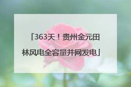363天！贵州金元田林风电全容量并网发电