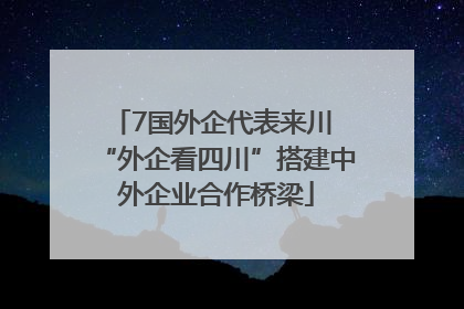 7国外企代表来川 “外企看四川”搭建中外企业合作桥梁