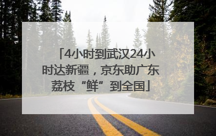 4小时到武汉24小时达新疆，京东助广东荔枝“鲜”到全国